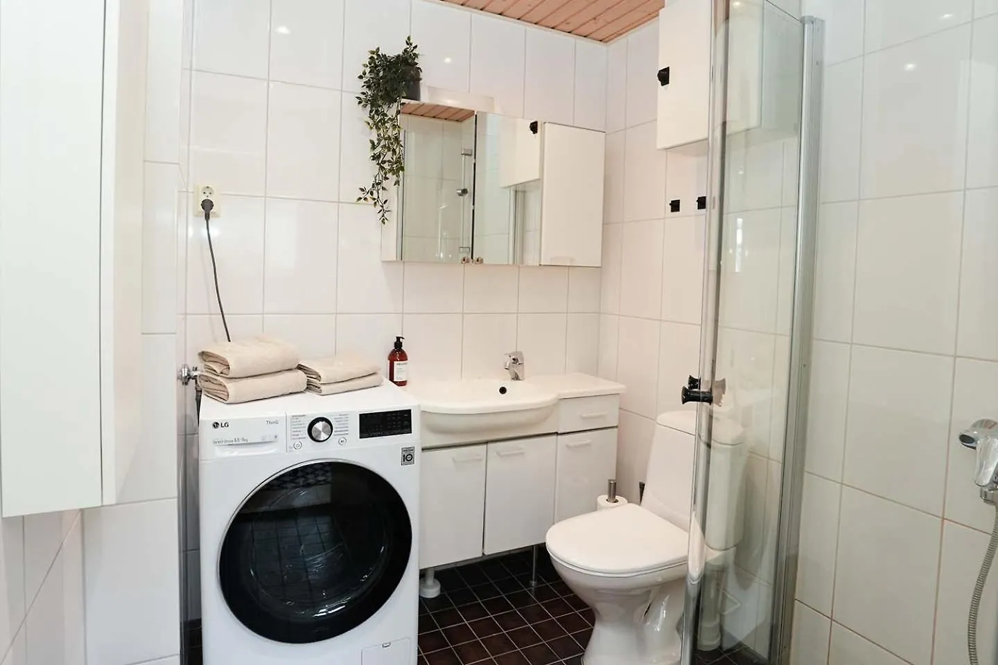 Bright & Modern Scandinavian Attic Suite In City Center Helsinky 0*,